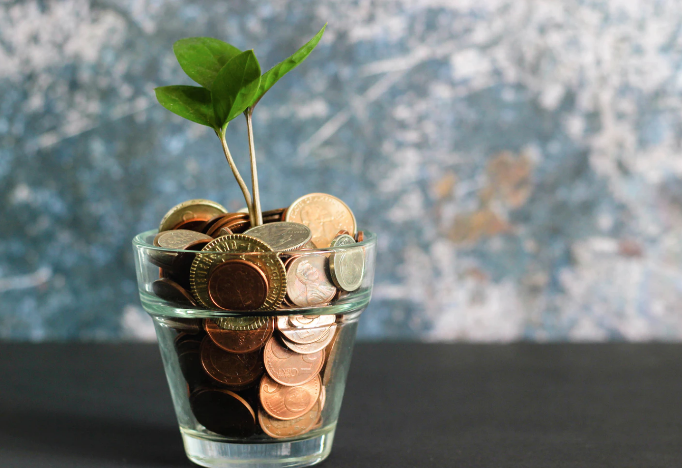 coins in cup with plant, money-saving guide