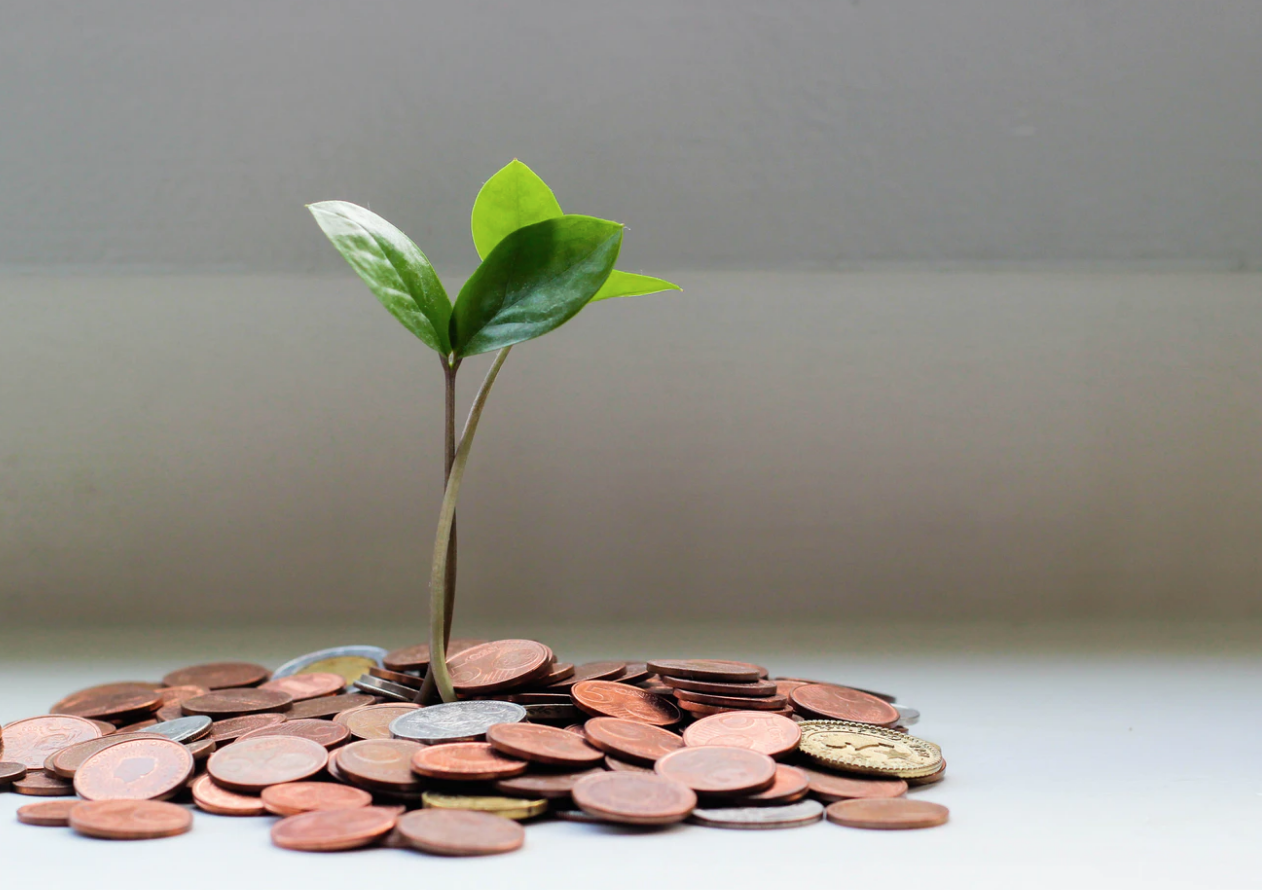 financial aid resources money tree with coins