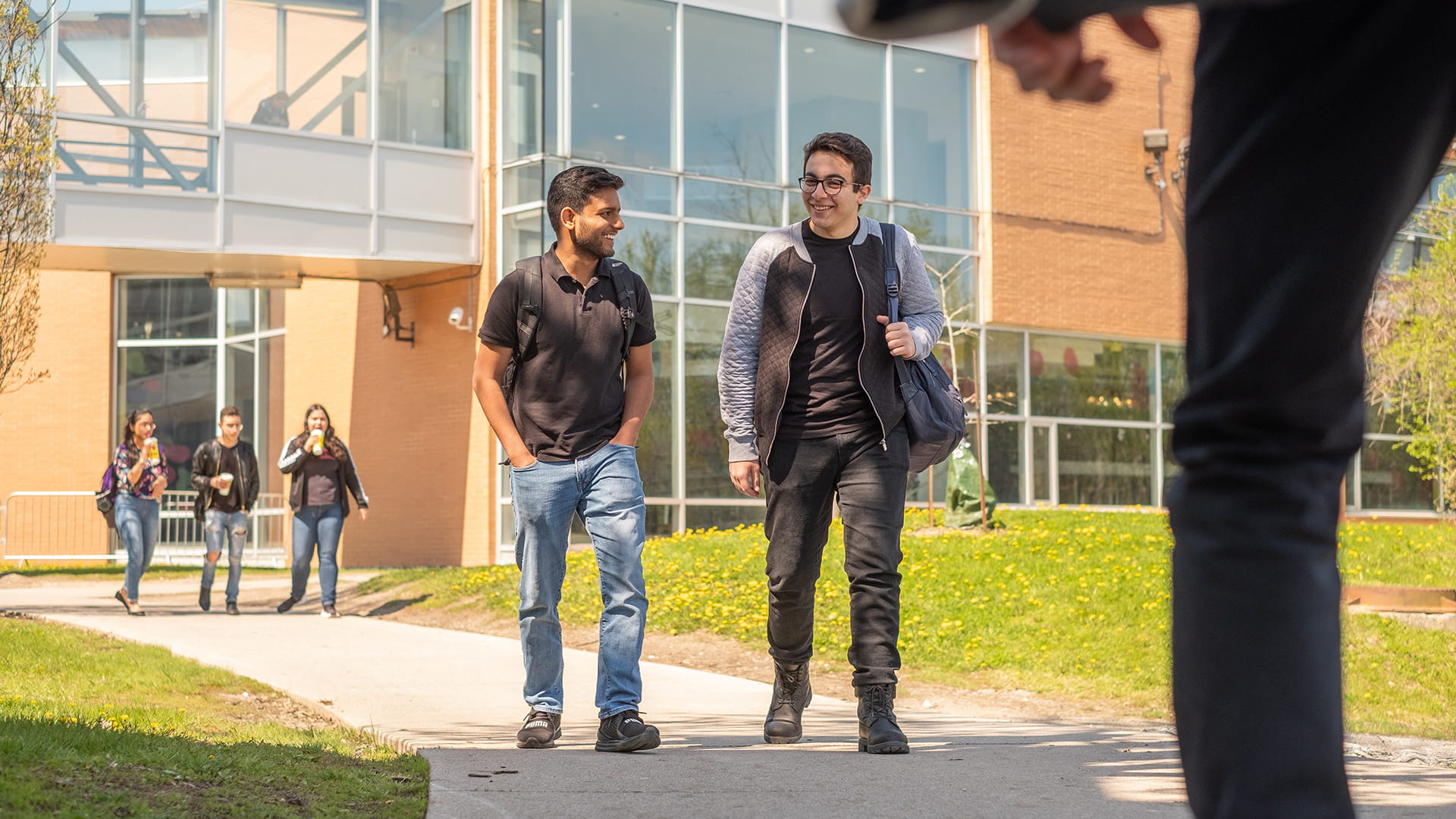 Best 5 Programs at Sheridan College - Campus Guides